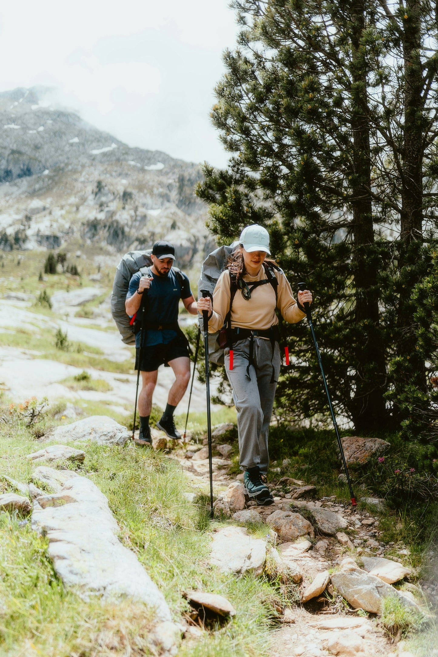 Walking Sticks