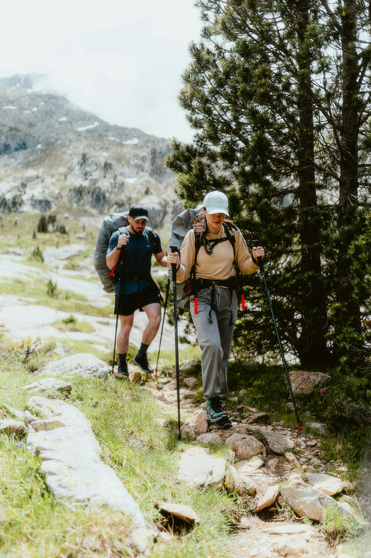 Walking Sticks